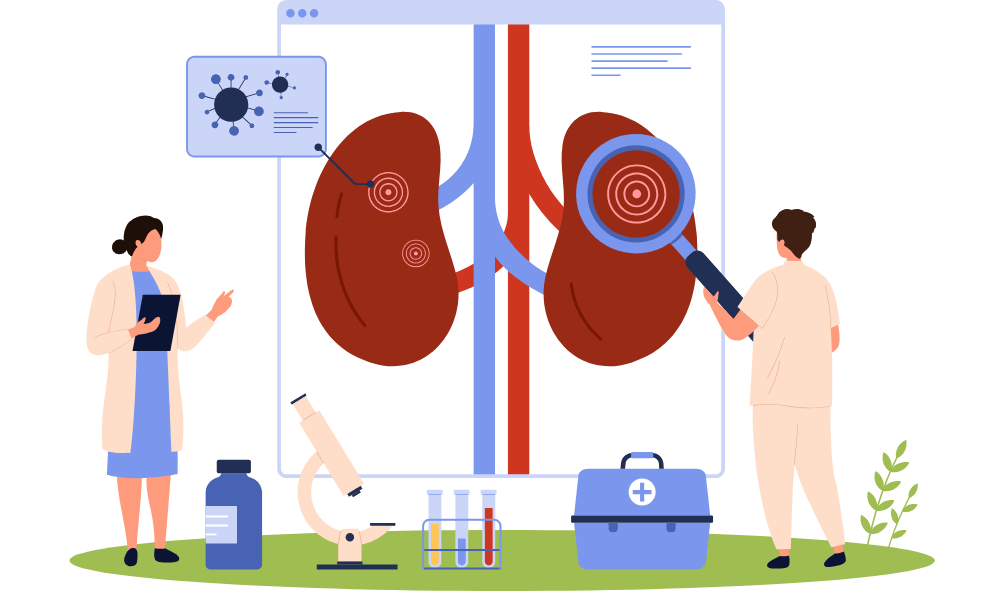 Kidney